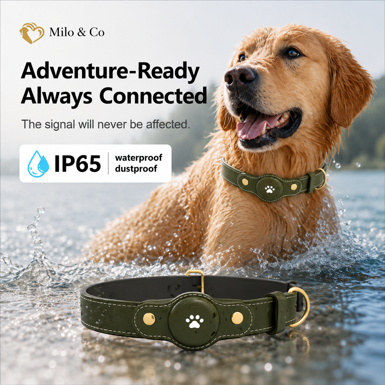 Waterproof GPS Tracker Dog Collar – Real-Time Location Tracking, No Monthly Fee, Works with Apple Find My & Android