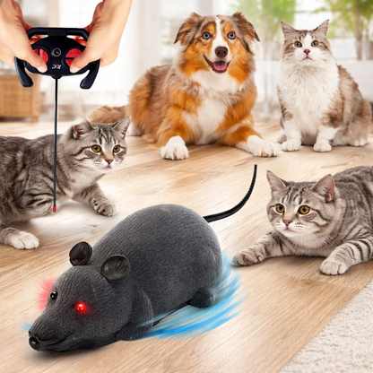 Interactive Toy for Cats & Dogs Moment Hunting