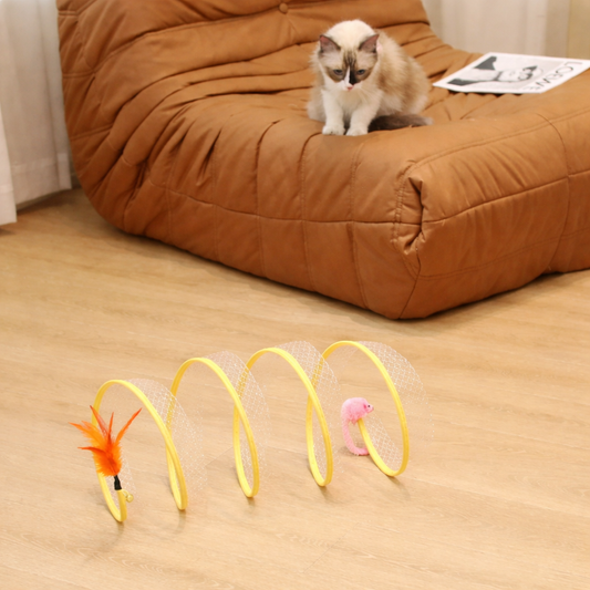 Interactive Tunnel for Cats Endless Exercise Playful Adventures