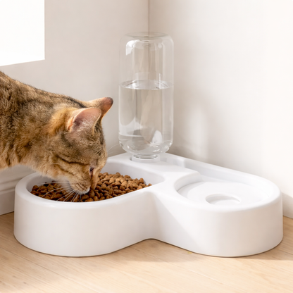Water Fountain for Cats & Dogs Feed Hydrate