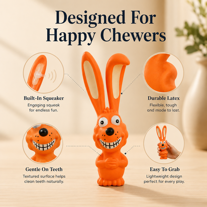 Dental Care Tool for Dogs Natural Latex Squeaky