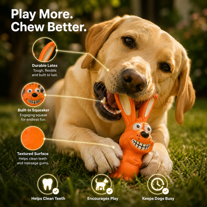 Dental Care Tool for Dogs Natural Latex Squeaky
