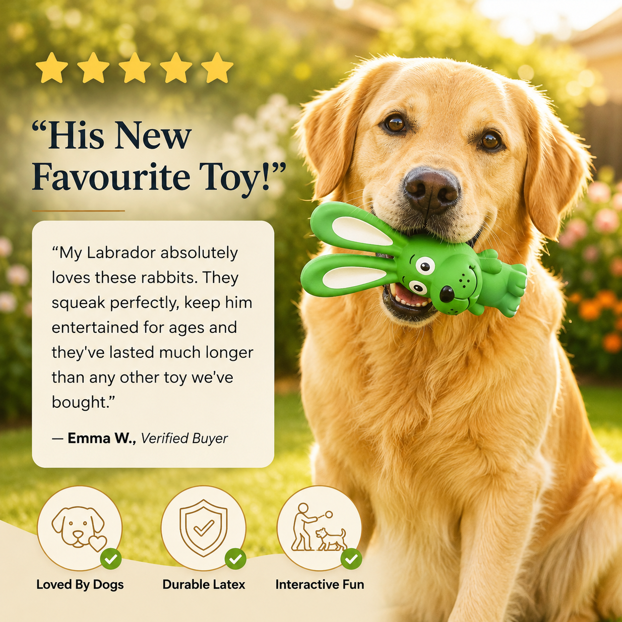 Dental Care Tool for Dogs Natural Latex Squeaky