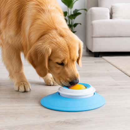 Slow Feeder Lick Mat for Dogs Treat Time