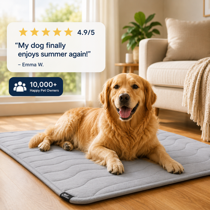 Cozy Bed for Cats & Dogs Give Cool