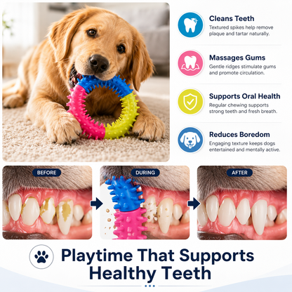 Massager for Dogs Chewing Healthy Playtime Supports Premium