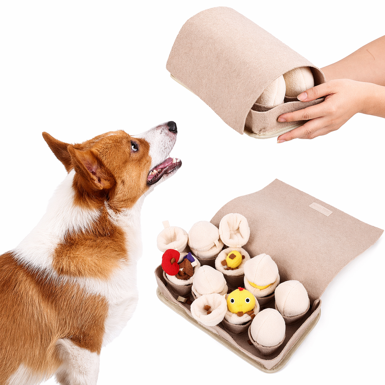 Slow Feeder Bowl for Dogs Hide Treats Boredom