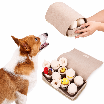 Slow Feeder Bowl for Dogs Hide Treats Boredom