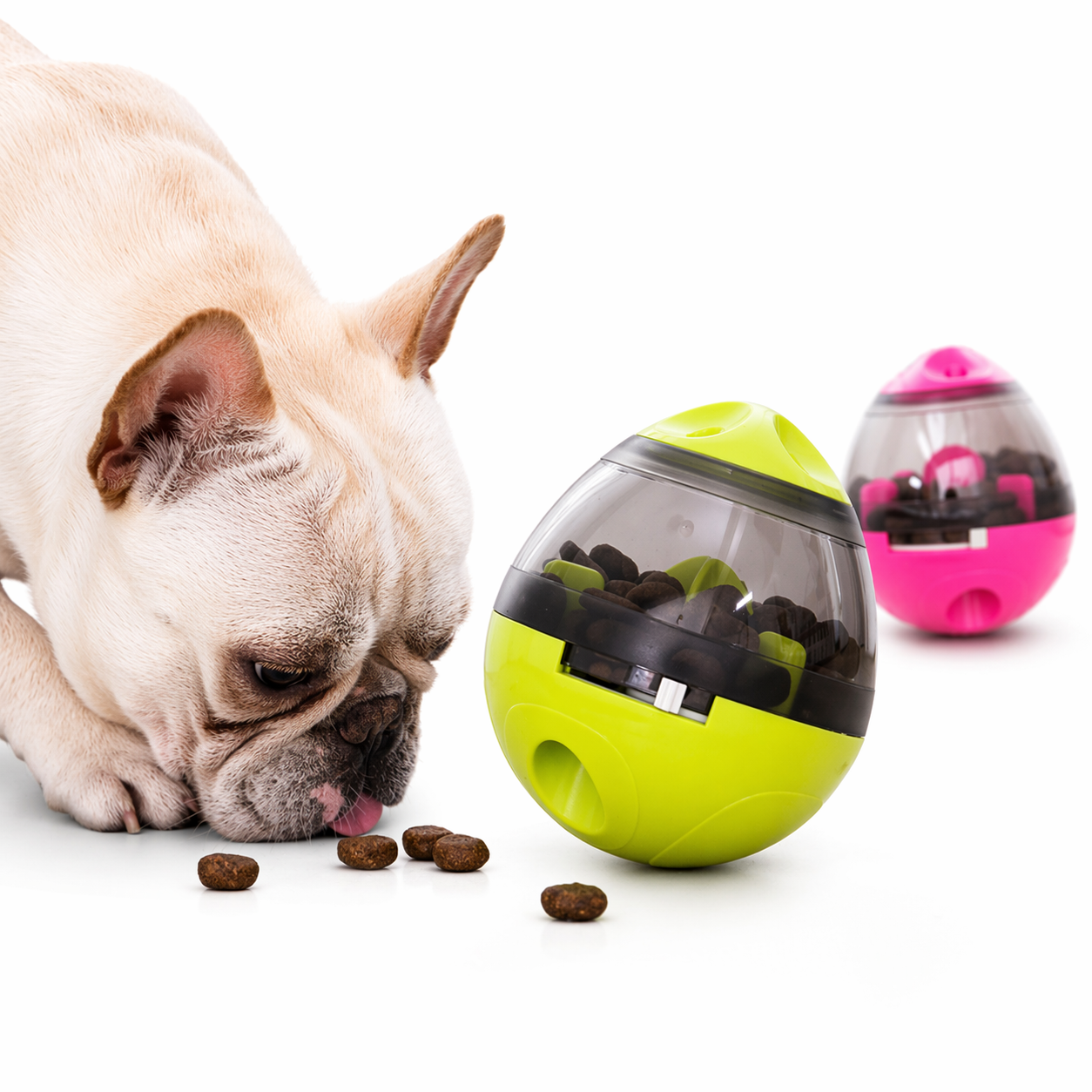 Slow Feeder Bowl for Dogs Play Smarter Snack