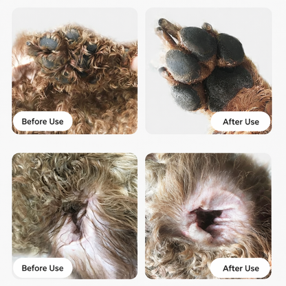 Quiet Precision Ceramic Hair Trimmer for Cats & Dogs