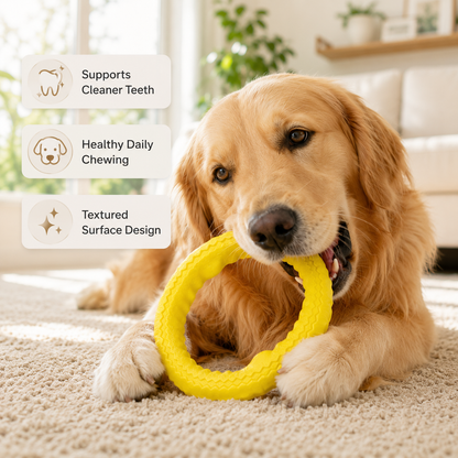 Massager for Dogs Chase Play Built Premium Everyday