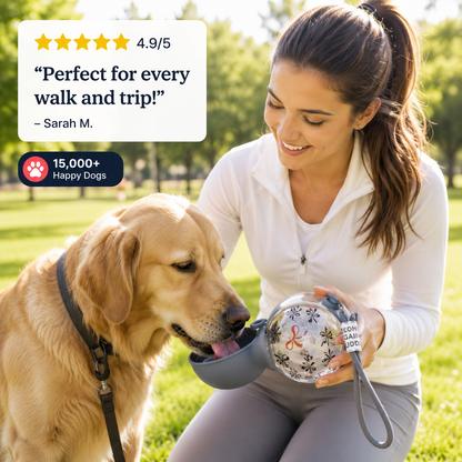 Water Fountain for Dogs Fresh Anytime Anywhere Lightweight