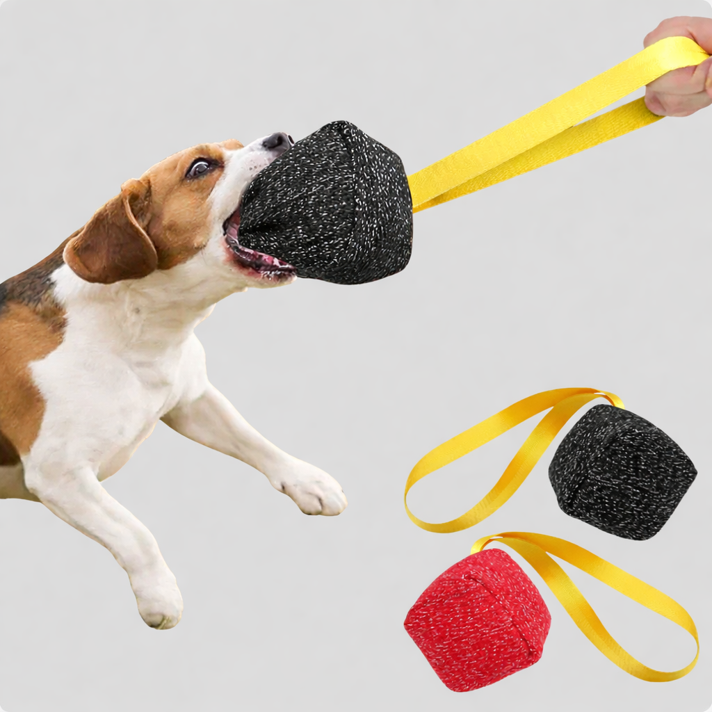 Tug Toy for Dogs Building Drive Focused Engagement