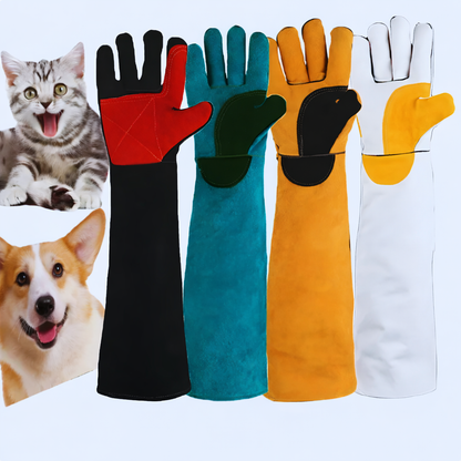 Interactive Rubber Dental Care Tool for Dogs Instinctive