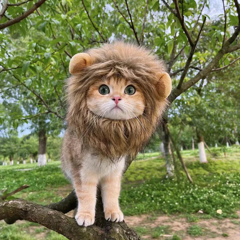Costume for Cats Futty Friend Majestic Lion Premium