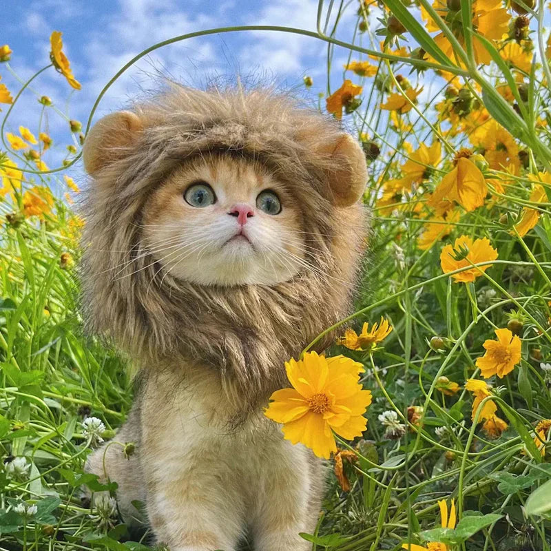 Costume for Cats Futty Friend Majestic Lion Premium
