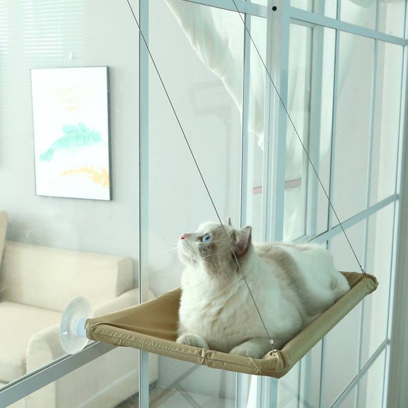 Comfortable Durable Hammock for Cats Give Relaxation Spot