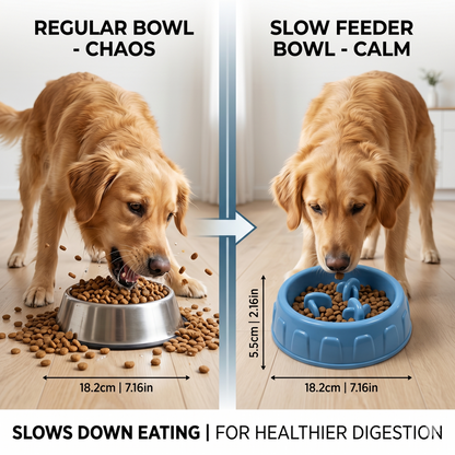 Slow Feeder Bowl for Cats & Dogs Help