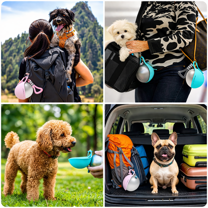 Water Fountain for Dogs Hydrated Anywhere Without Mess