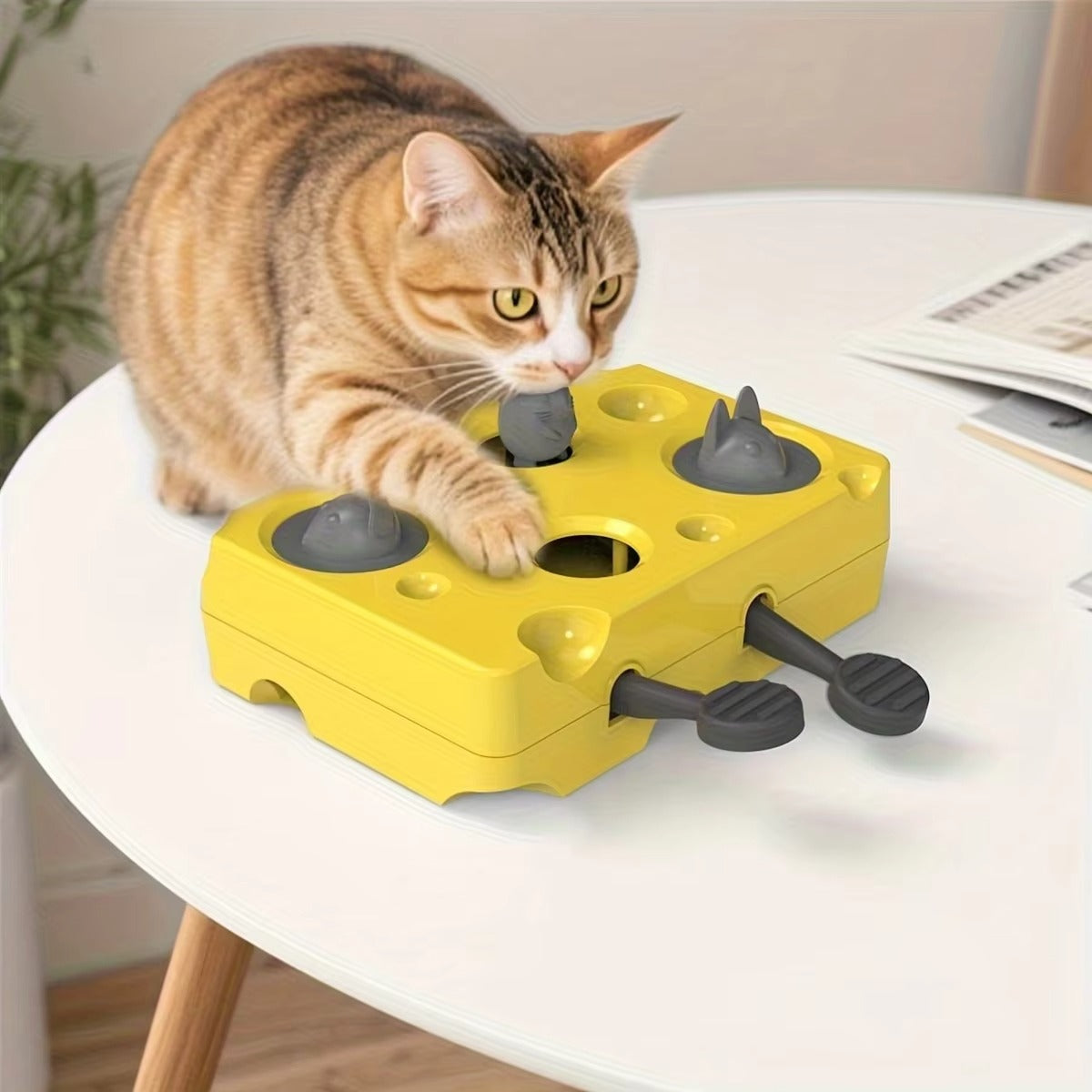Slow Feeder Bowl for Cats Smart Play Feeding