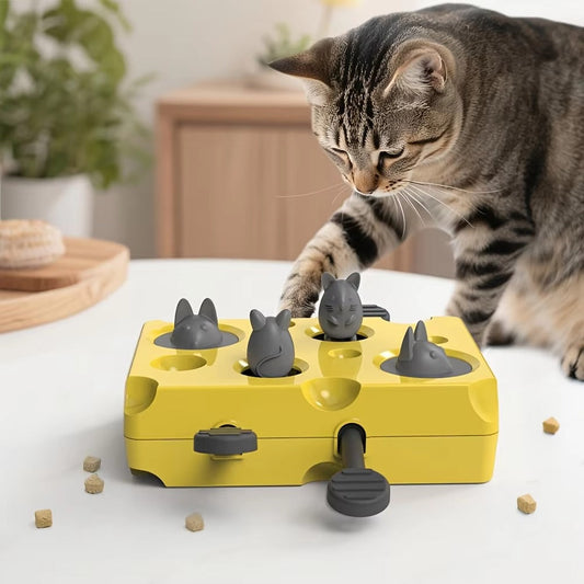 Slow Feeder Bowl for Cats Smart Play Feeding