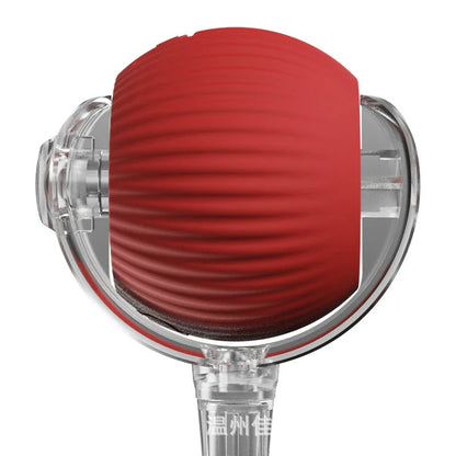 Interactive Ball Toy for Cats & Dogs Rolling