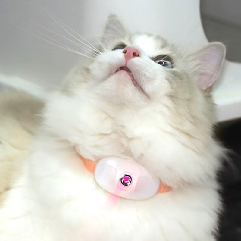 Smart Interactive Collar for Cats Entertained Effortlessly Hands