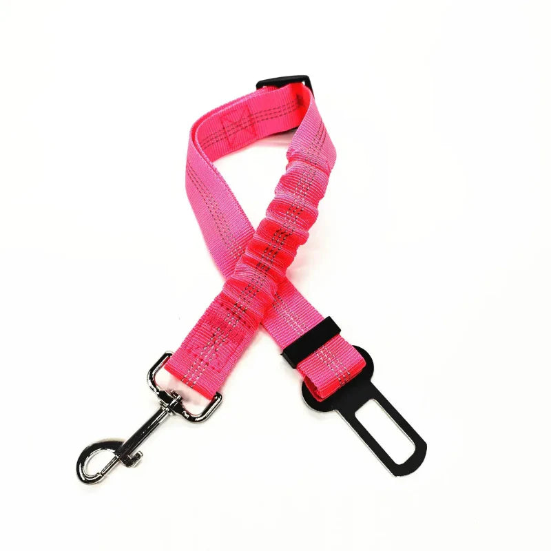 Adjustable Reflective Walking Harness for Cats Taking Road