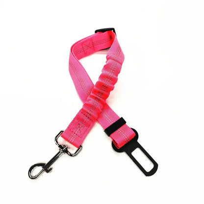 Adjustable Reflective Walking Harness for Cats Taking Road