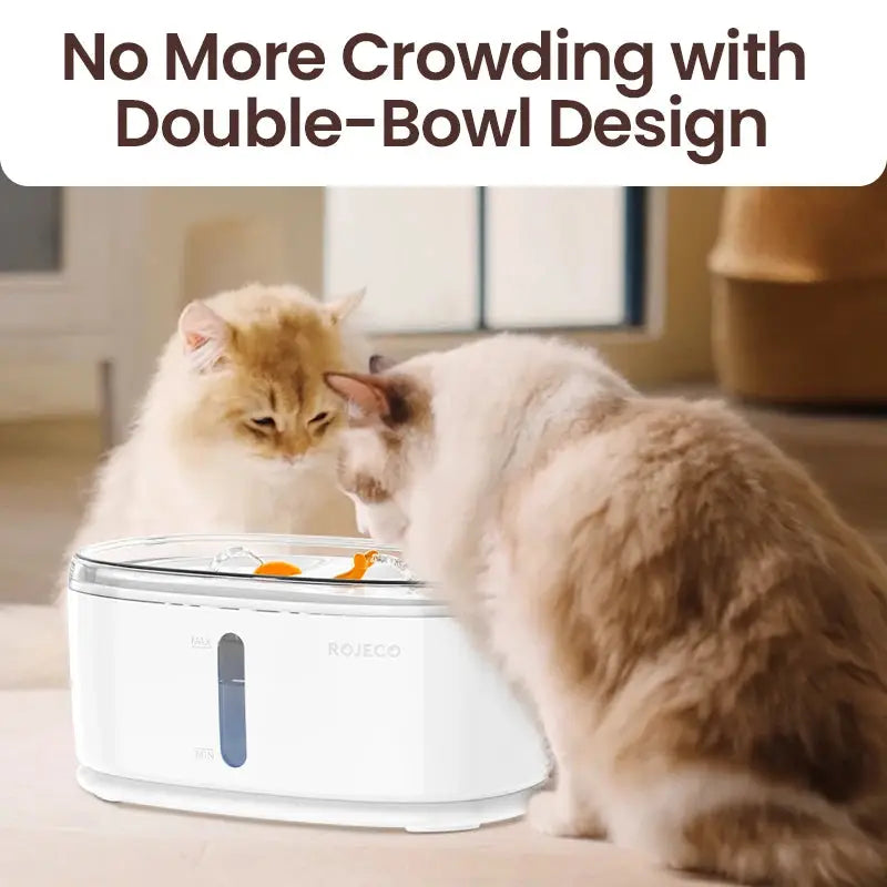 Automatic Dual Water Fountain for Cats Hydrated Healthy 2.5L