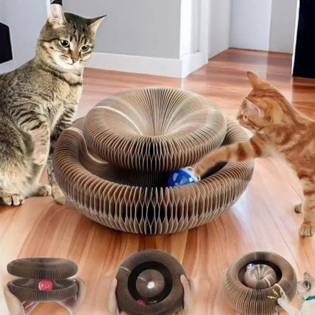 Interactive Scratching Post for Cats Scratcher Ball Multiple