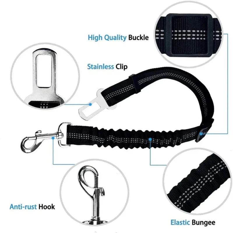 Adjustable Reflective Walking Harness for Cats Taking Road