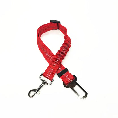 Adjustable Reflective Walking Harness for Cats Taking Road