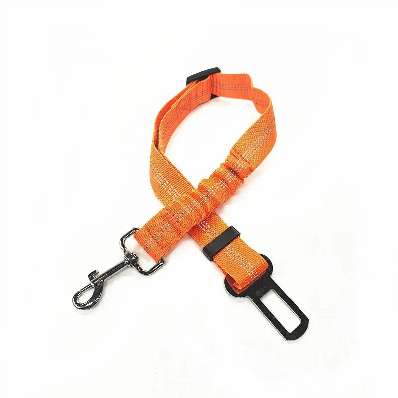 Adjustable Reflective Walking Harness for Cats Taking Road