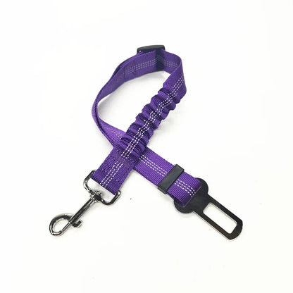 Adjustable Reflective Walking Harness for Cats Taking Road