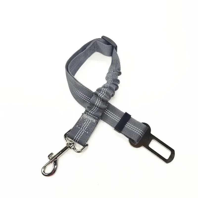 Adjustable Reflective Walking Harness for Cats Taking Road
