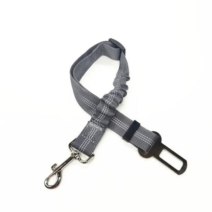 Adjustable Reflective Walking Harness for Cats Taking Road