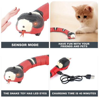 Smart Automatic Wand Teaser for Cats Meet Prey