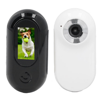 Wide Collar for Cats World Through Eyes Angle