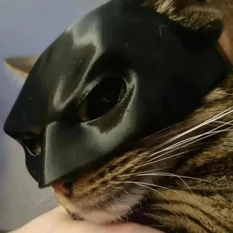 Costume for Cats Introducing Superhero Mask Adorable Premium