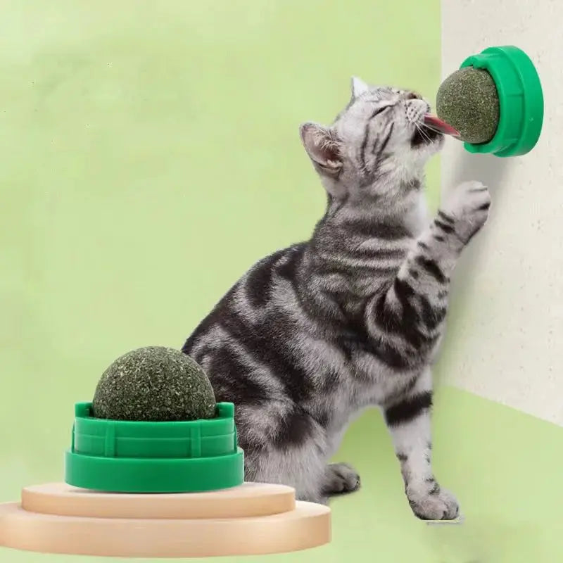 Wall Natural Scratching Post for Cats Catnip Ball