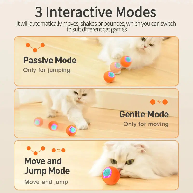 Interactive Plastic Ball Toy for Cats Time Play