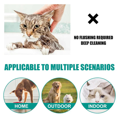 Cleaning Easy Pet Accessory for Cats Water Needed