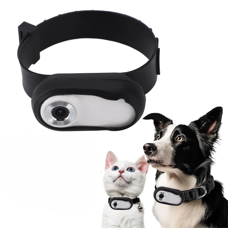 Wide Collar for Cats World Through Eyes Angle