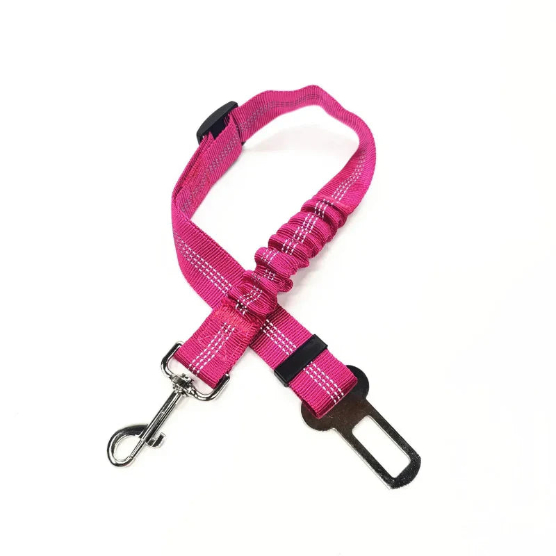 Adjustable Reflective Walking Harness for Cats Taking Road