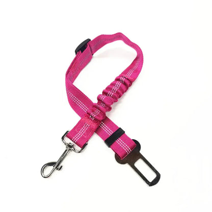 Adjustable Reflective Walking Harness for Cats Taking Road