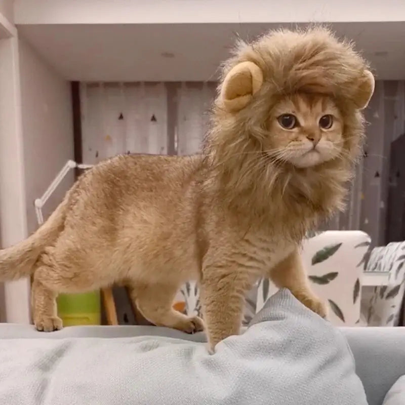 Costume for Cats Futty Friend Majestic Lion Premium