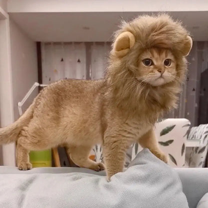 Costume for Cats Futty Friend Majestic Lion Premium
