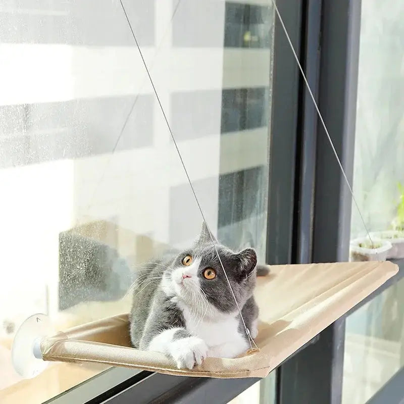 Comfortable Durable Hammock for Cats Give Relaxation Spot