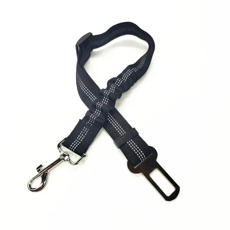Adjustable Reflective Walking Harness for Cats Taking Road